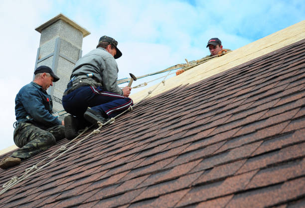 Best Metal Roofing Contractor  in Canterwood, WA